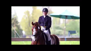 Never Forget You II Dressage Edit II Bunbu11 Schliechs