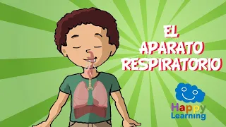 EL APARATO RESPIRATORIO | Videos Educativos para Niños