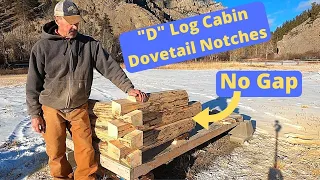 Dovetail notched log cabin with D logs.