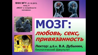 "Мозг: Любовь, Секс, Привязанность"-профессор МГУ Дубынин В. А.