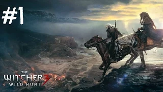 The Witcher 3 Wild Hunt Gameplay Walkthrough Part 1 - Yennefer (PC)