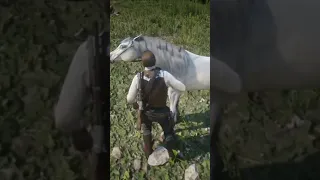 Самая большая лошадь в игре #shorts #rdr2