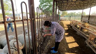 С утра аккуратно приварил Наталье Григорьевне, а потом меня послали подальше в поле!