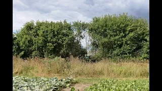 Наслідки обстрілу північної околиці Дружби