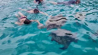 Snorkelling around Pulau Redang, Terengganu, Malaysia: Swimming with Turtles