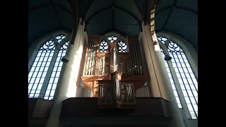 BWV 617 (Bach) Herr Gott, nun schleuß den Himmel auf - Geerten van de Wetering