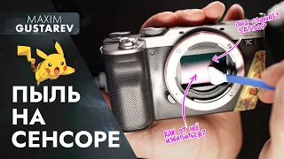 Как чистить матрицу фотоаппарата – опасно и безопасно!