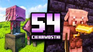 54 CIEKAWOSTKI o ITEMACH w Minecraft