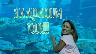 SINGAPORE SEA AQUARIUM is one of the worlds largest aquariums. #seaaquarium #sentosaislandsingapore