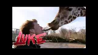 Luke im Zoo - LUKE! Die Woche und ich