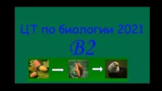 ЦТ по биологии 2021. Задание В2