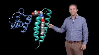 Jared Rutter (U. Utah, HHMI) 3: Mitochondria: The Fuel and the Fire