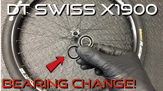 DT Swiss X1900 Front Wheel Bearing Change