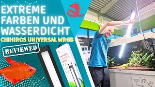 Darauf haben alle gewartet! | Chihiros Universal WRGB für jedes Aquarium | EHEIM, OASE, JUWEL, AMTRA