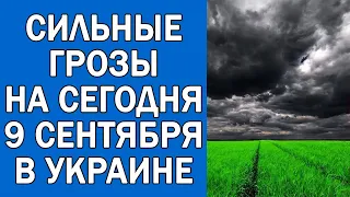 ПОГОДА НА 9 СЕНТЯБРЯ : ПОГОДА НА СЕГОДНЯ