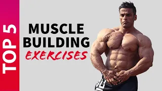 Top 5 Muscle Building Exercises | मसल्स बनाने के लिए करें ये 5 एक्सरसाइज | Yatinder Singh