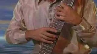 Acoustic Chapman Stick