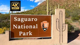 A Scenic Drive Through Saguaro National Park: Tucson Mountain District in 4k