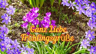 Hallo Frühling😊🌷🌷🌷Ich wünsche Dir einen guten Start in den Frühling🌞🍀💕 Herzliche Frühlingsgrüße💖