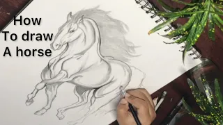 How to draw a horse || Easy sketch of horse || Sketch of horse tutorial 🌈