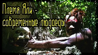 Племя Яли - современные людоеды (Страшные Факты)