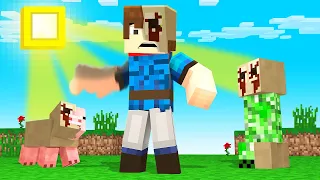 Minecraft But The SUN Turns You Into A MUTANT!? (This Was Scary ...) - Minecraft Mods Gameplay