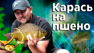 Ловля дикого карася на ПШЕНО! Как ловить карася на фидер! Рыбалка с ночевкой!