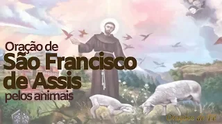 ORAÇÃO DE SÃO FRANCISCO DE ASSIS PELOS ANIMAIS