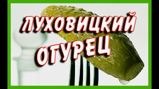 Луховицкий огурец (Авторская весёлая песня) Вадим Ибрянов