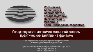 Ультразвуковая анатомия молочной железы: практическое занятие на фантоме