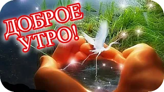 Доброе утро! ❤️Как прекрасно рождение дня! ❤️Я желаю прекрасного утра!❤️Good morning❤️