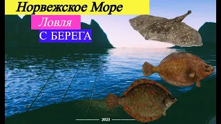 Русская рыбалка 4 рр4..... Норвежское Море. Трофейная Камбала - Хороший клев с берега.