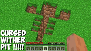 Where DOES THIS CURSED WITHER PIT LEAD in Minecraft ? SECRET WITHER TUNNEL !