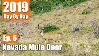 Today Is My Last Chance | 2019 Nevada Mule Deer (Ep. 6)