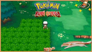 Shiny Zigzagoon&Linoone|Pokémon Rubi Omega🦝✨