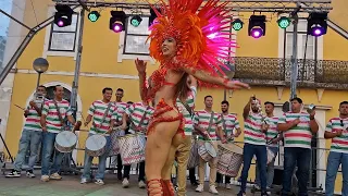 Sócios Da Mangueira (Samba Enredo 2023) @Feira De Artesanato  Gastronomia Mealhada 2023 @PlaytekTv