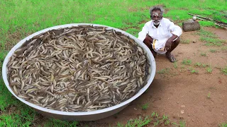 Rare River Fish Kulambu Prepared by my daddy / Ayirameen Kulambu / Village food factory