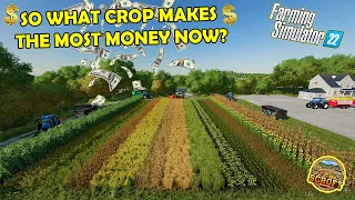 What Crop Makes The Most Money Now? | Farming Simulator 22