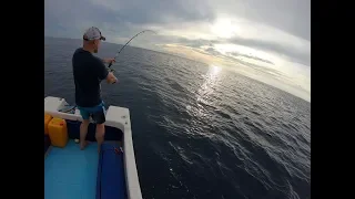 Fishing in Maldives. Fehendhoo 2019.