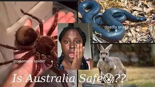 Things to Know Before Moving To Australia || Living in Australia