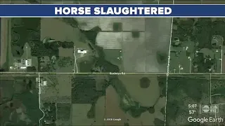 Suspects wanted after stealing horse, killing it for meat: Sheriff