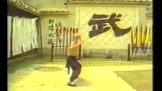 劉家輝 Gordon Liu 洪拳 虎鶴雙形(Hung Gar  Kuen Tiger and Crane Form)Fu Hok Seung Ying