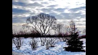 Зьміцер Вайцюшкевіч: Красуньня Вясна / Zmicier Vajciuszkievicz: Spring Beauty