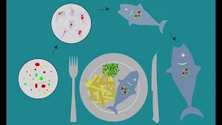 Plastic Ocean: A Film About Microplastics