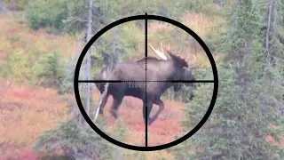 20 BEST SLOW-MO HUNTING KILL SHOTS - Stuck N The Rut Compilation