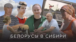 Картошка как религия: сибирские белорусы о мире, вражде, Лукашенко, телевизоре и огороде / СЛИВА