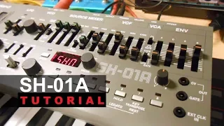 Roland SH-01A Synthesizer Module Tutorial Made Easy