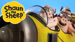 Pig Swill Fly | Shaun the Sheep | S2 Full Episodes