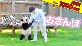 天才パンダ楓浜🐼超絶大好きな😍飼育員さんを見つけた2秒後、歴史的な瞬間が…神w