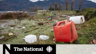 Concerns over water quality after B.C. floods